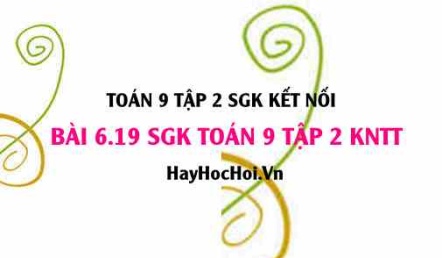 Bài 6.19 SGK Toán 9 tập 2 Kết nối tri thức